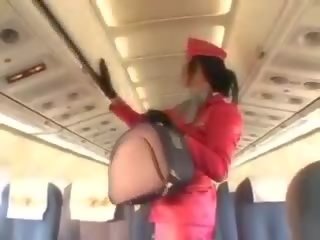 Frestande stewardessen sugande manhood före cunnilingus