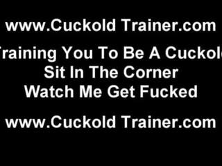 You are nothing but a cuckold slave fellow to me